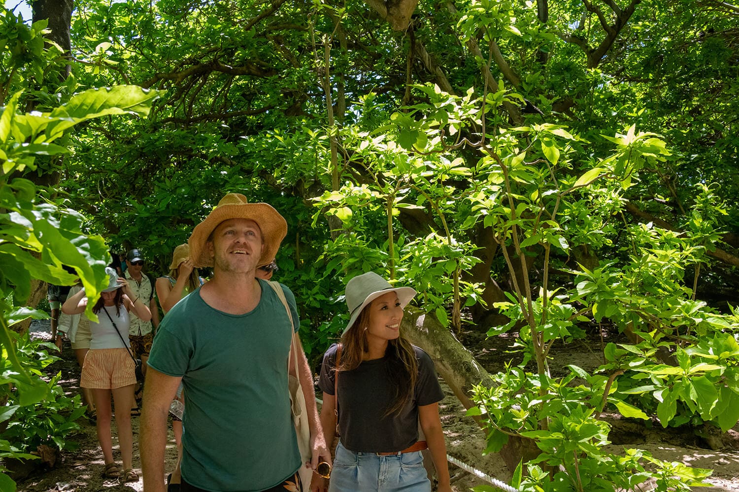 Guided walk on the coral cay